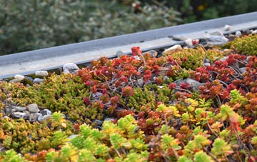 the cost of Cwmystwyth green roof installation