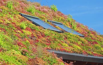 Cwmystwyth living roof systems